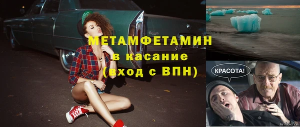 индика Пестово