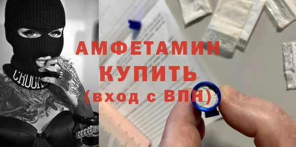 индика Пестово