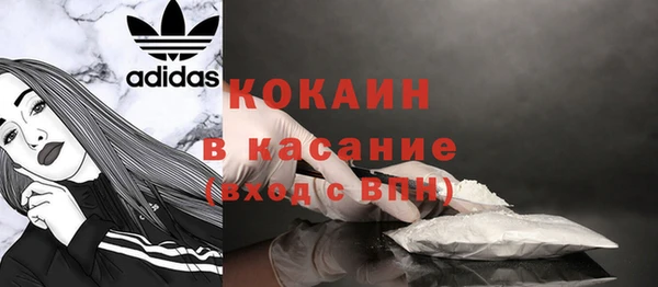 прущие грибы Переславль-Залесский