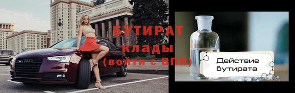 прущие грибы Переславль-Залесский