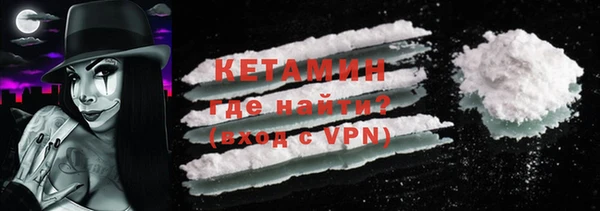 индика Пестово