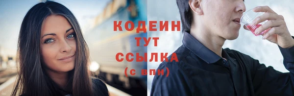 прущие грибы Переславль-Залесский