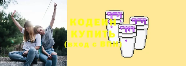 индика Пестово