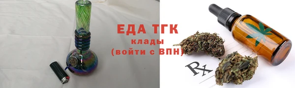 индика Пестово