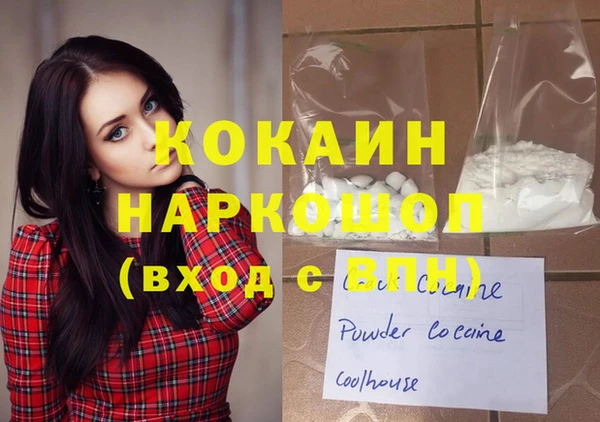 индика Пестово