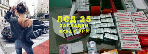 индика Пестово