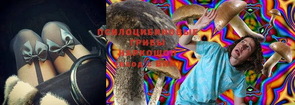меф Дубна