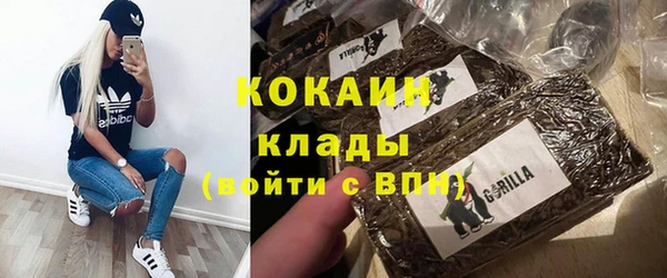 индика Фёдоровский