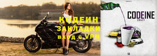 индика Пестово