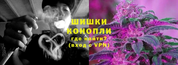 хмурый Тайга