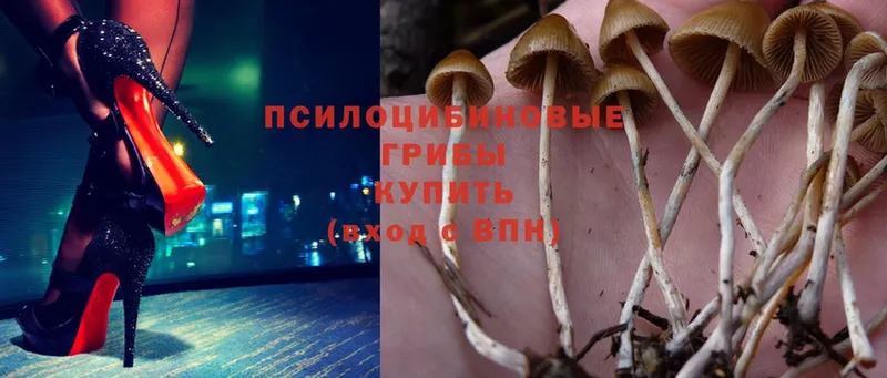 Галлюциногенные грибы Magic Shrooms Коряжма