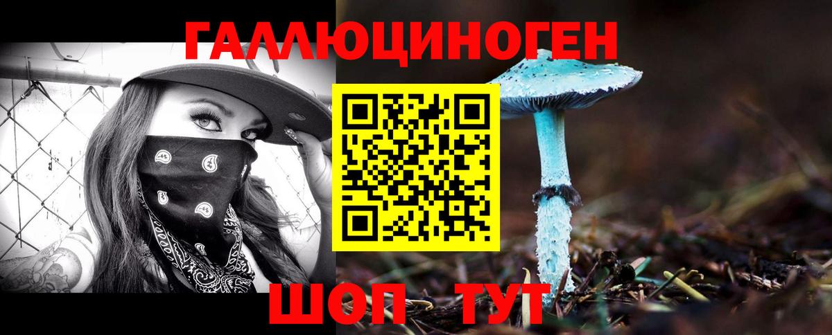 Alpha PVP Коряжма